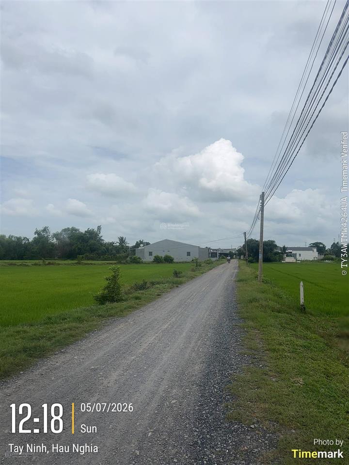 Bán 04 thửa đất trống 800 m2 (100% đất ở đô thị) tại tt hậu nghĩa, huyện đức hoà, long an (cũ)