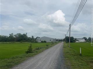 Bán 04 thửa đất trống 800 m2 (100% đất ở đô thị) tại tt hậu nghĩa, huyện đức hoà, long an (cũ)