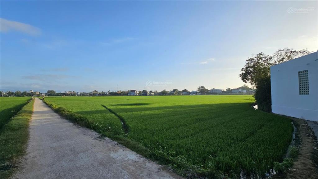 Nhà vườn view ruộng thôn luật chánh, xã phước hiệp, bình định