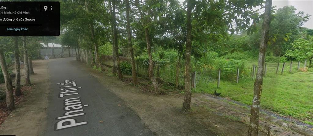 Đất nền full thổ 1300m2 thái mỹ (củ chi), tp.hcm