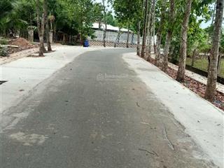 Đất nền full thổ 1300m2 thái mỹ (củ chi), tp.hcm