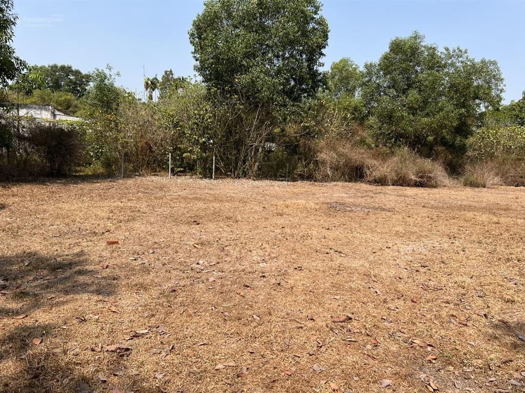 Đất nền full thổ 1300m2 thái mỹ (củ chi), tp.hcm