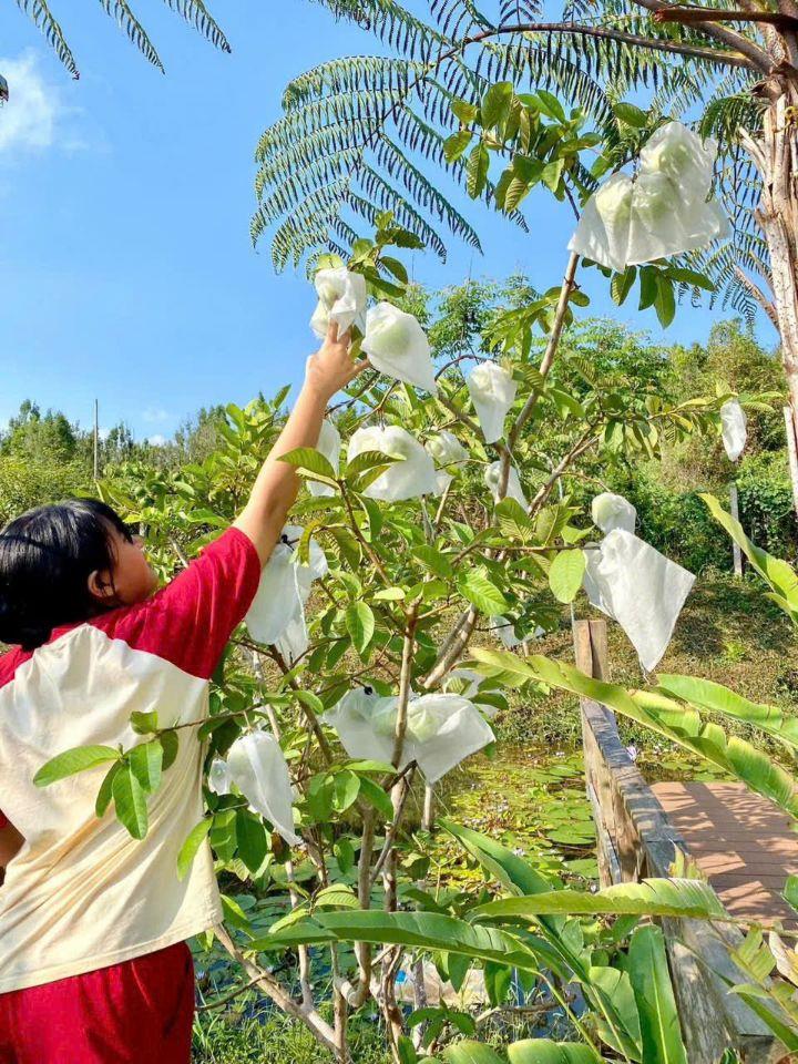 Chiết khấu MẠNH đất nghỉ dưỡng view hồ – LÀNG OMM Bảo Lộc