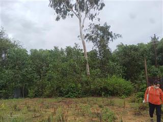 Bán gấp đất nền tại xã tịnh khê, giá cực chất 2,9 tỷ, 1374m2