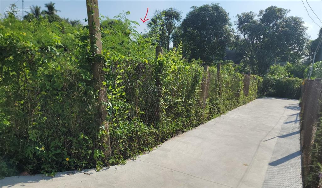Đất nền 3500m2 (có 120m2 thổ cư) tại lê việt thắng gần nhà hàng hoàng thành