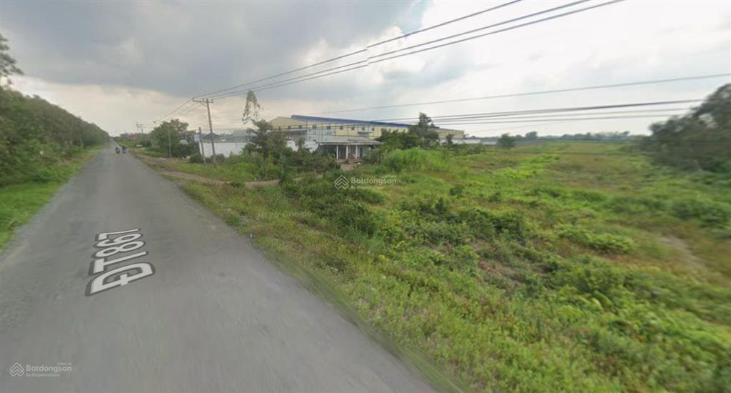 Đất nền 12163.5m2 (có 300m2 thổ cư) mặt tiền 25m đường đt 867 gần chợ bắc đông