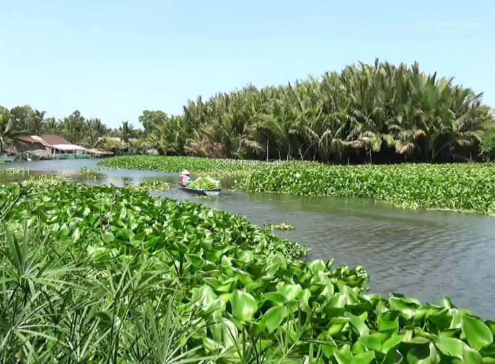 Đất nền 3000m2 (có 1747m2 thổ cư) mặt tiền 12m đường lộ dừa gần chợ kỳ son và phà kỳ son