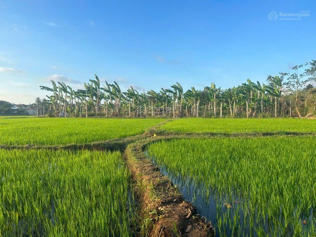 Cần bán homestay rộng 2.300m2  nở hậu  trung tâm bmt thuộc phường ea tam, tp. buôn ma thuột