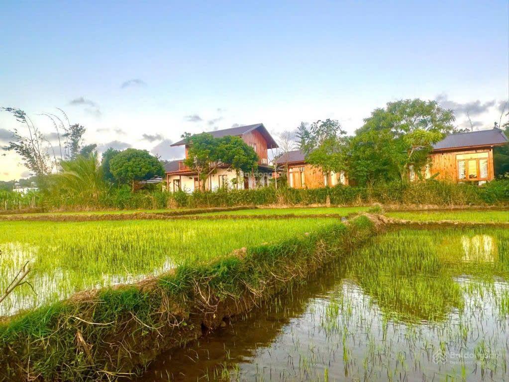 Cần bán homestay rộng 2.300m2  nở hậu  trung tâm bmt thuộc phường ea tam, tp. buôn ma thuột