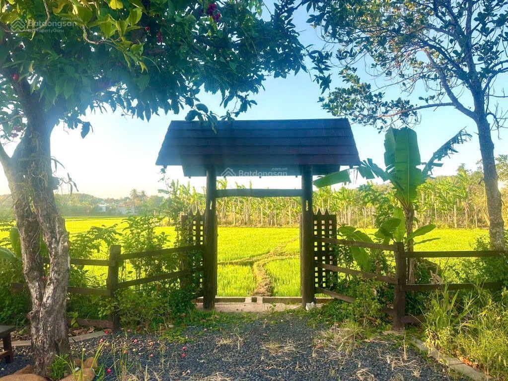 Cần bán homestay rộng 2.300m2  nở hậu  trung tâm bmt thuộc phường ea tam, tp. buôn ma thuột