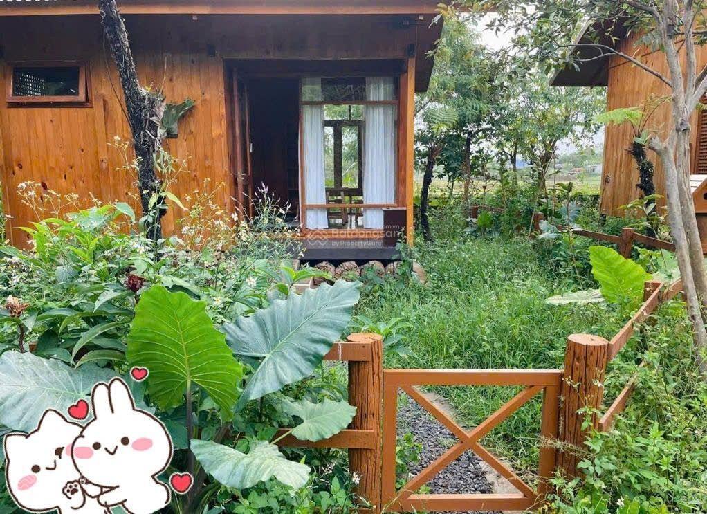 Cần bán homestay rộng 2.300m2  nở hậu  trung tâm bmt thuộc phường ea tam, tp. buôn ma thuột