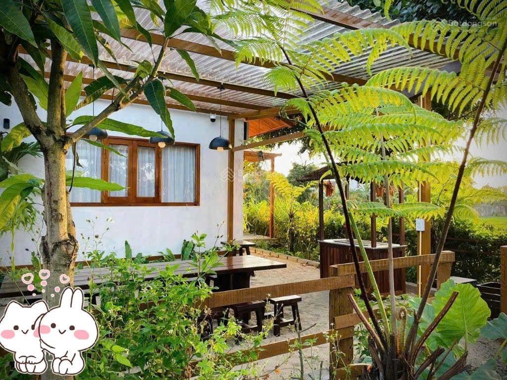 Cần bán homestay rộng 2.300m2  nở hậu  trung tâm bmt thuộc phường ea tam, tp. buôn ma thuột
