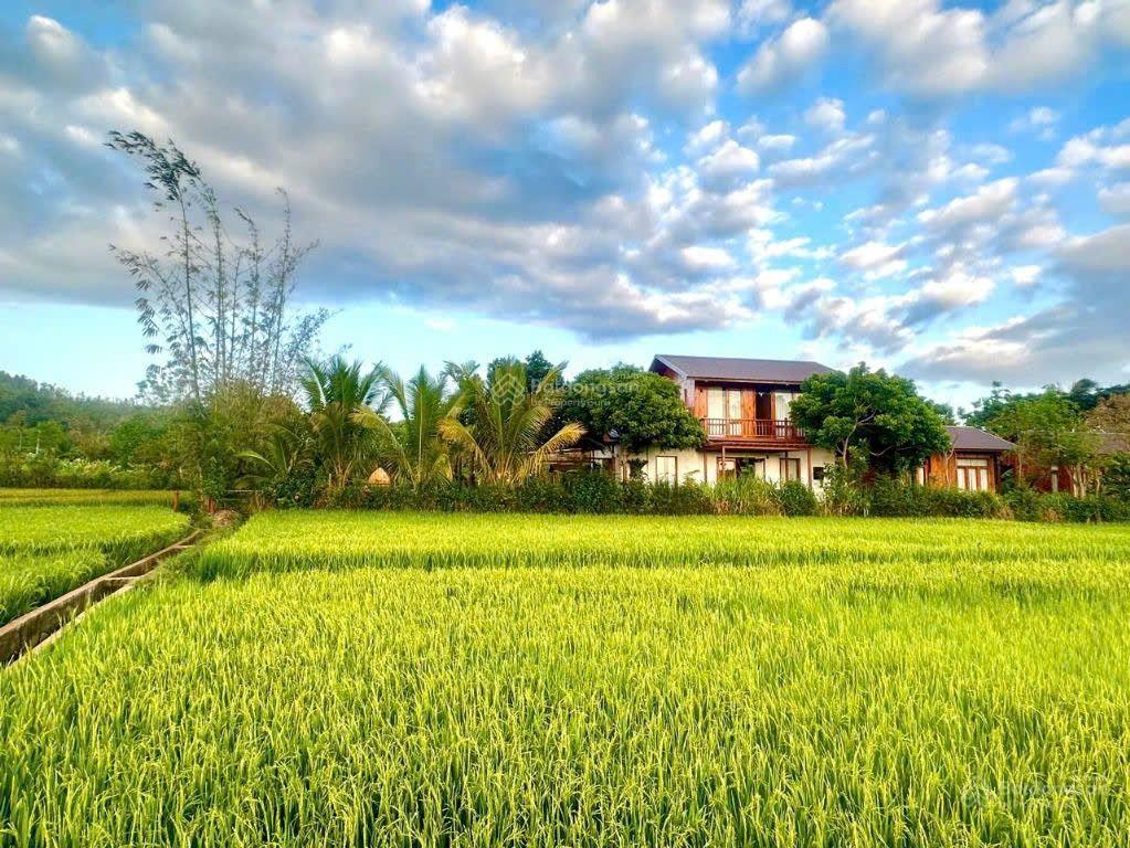 Cần bán homestay rộng 2.300m2  nở hậu  trung tâm bmt thuộc phường ea tam, tp. buôn ma thuột