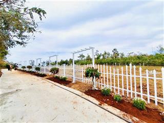 Giáp ranh tp. buôn mê thuột . cách sân bay bmt chỉ 10 phút lái xe chỉ 260tr tặng rào cổng hoa