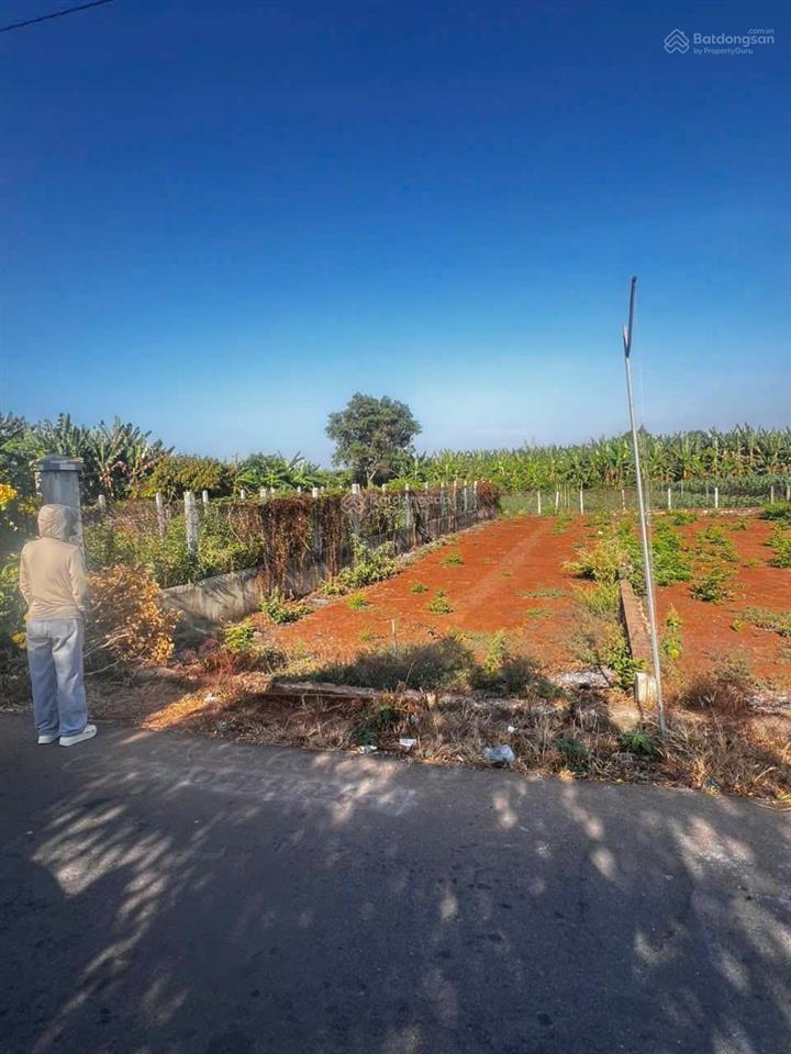 Bán đất tại lương thế vinh, 1,4 tỷ, 165,3 m2, view đẹp, nhiều tiện ích