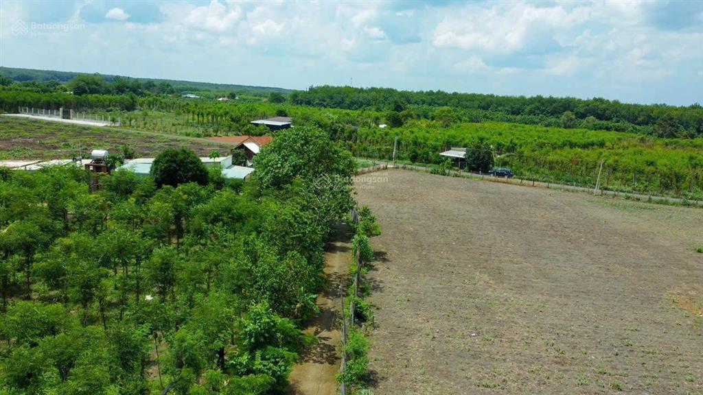 Sỉ 5 lô đường nhựa gần ủy ban tân tiến, cách trung tâm huyện 10p