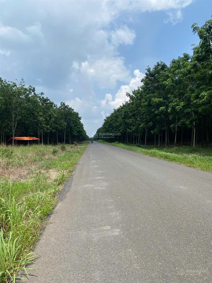 Gấp bán lô 500 m2, 6x85 mét, đường nhựa 18 mét, kcn becamex  phường chơn thành, đồng nai chỉ 3xxtr