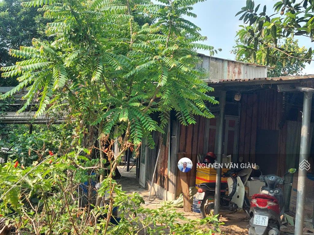 Bán gấp 2139m2 đất giá chỉ 6,8 tỷ phù hợp làm nhà vườn, quán ăn