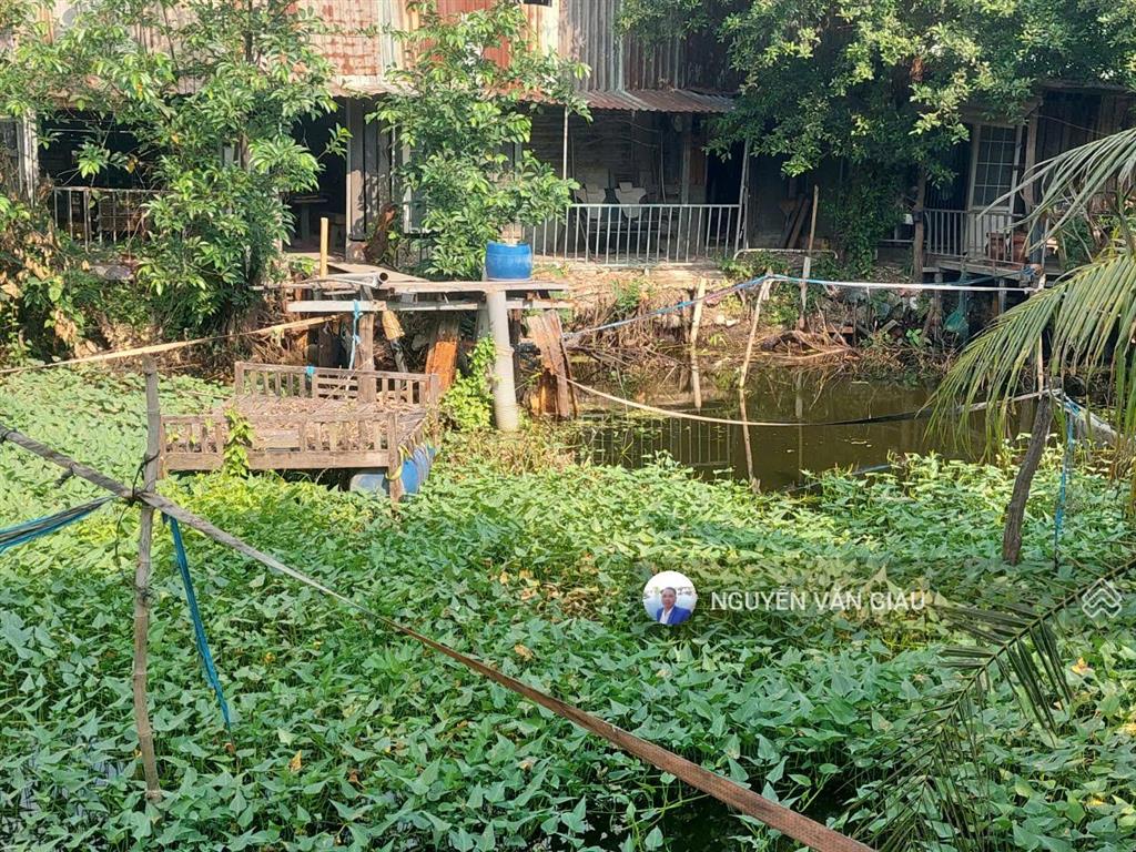 Bán gấp 2139m2 đất giá chỉ 6,8 tỷ phù hợp làm nhà vườn, quán ăn