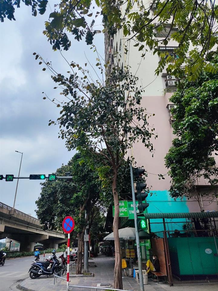 Cực hiếm! mặt phố hoàng liệt  lô góc  vị trí vàng  giá đầu tư  155m2  giá chỉ 50,5 tỷ