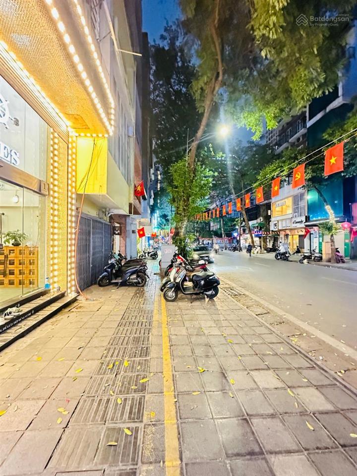 Cực hiếm ! mặt phố thái phiên  giá đầu tư  diện tích 45m²  giá chỉ 45 tỷ.