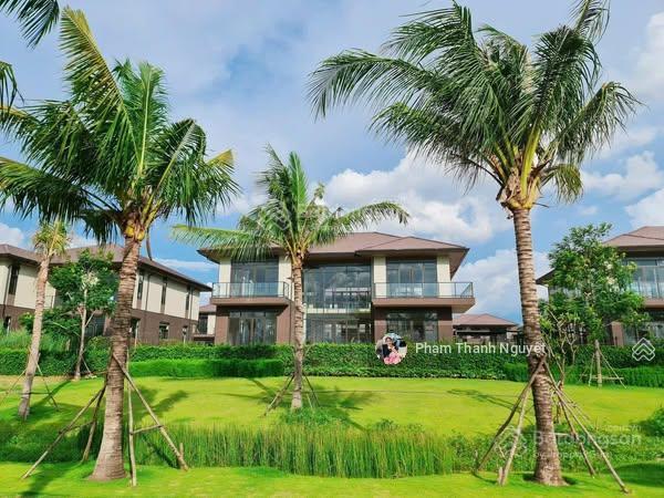 1 căn dinh thự trực diện sông  giá chỉ 50 triệu/m2
