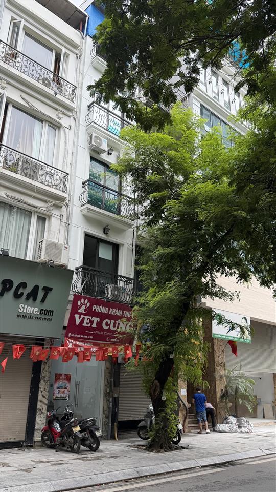 Chính chủ cho thuê nhà mặt phố đội cấn số 105b