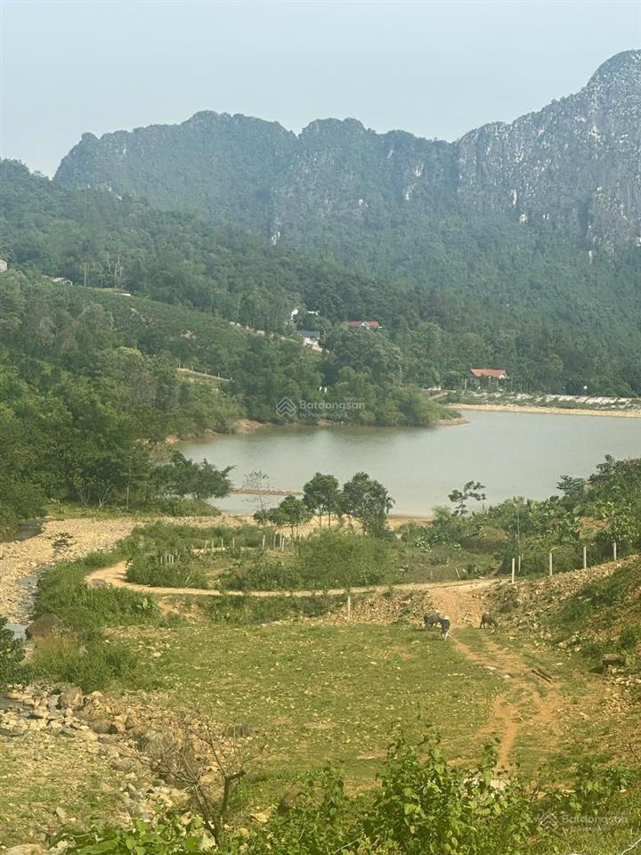 20ha dất trồng rừng, cảnh quan rất đẹp