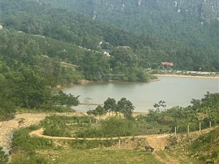 20ha dất trồng rừng, cảnh quan rất đẹp