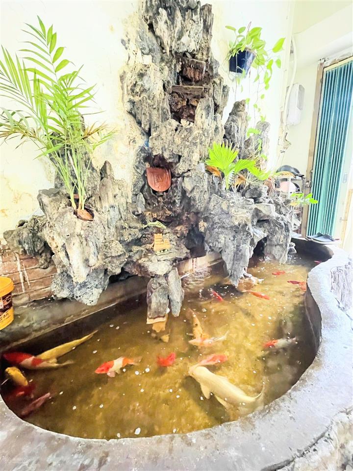 Nhà chính chủ gấp bán. 74m² 4 tầng 5 pn xe hơi ngủ trong nhà. bán đi định cư