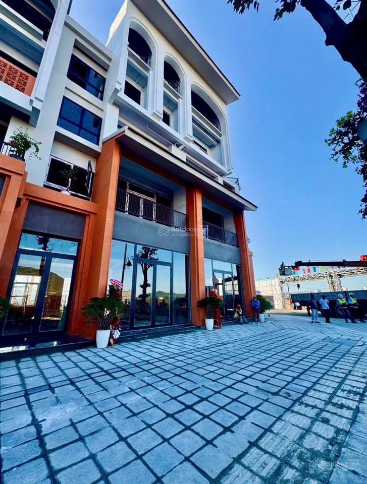 Biệt thự song lập trục đường d16  một trong những quỹ căn đẹp của elite island