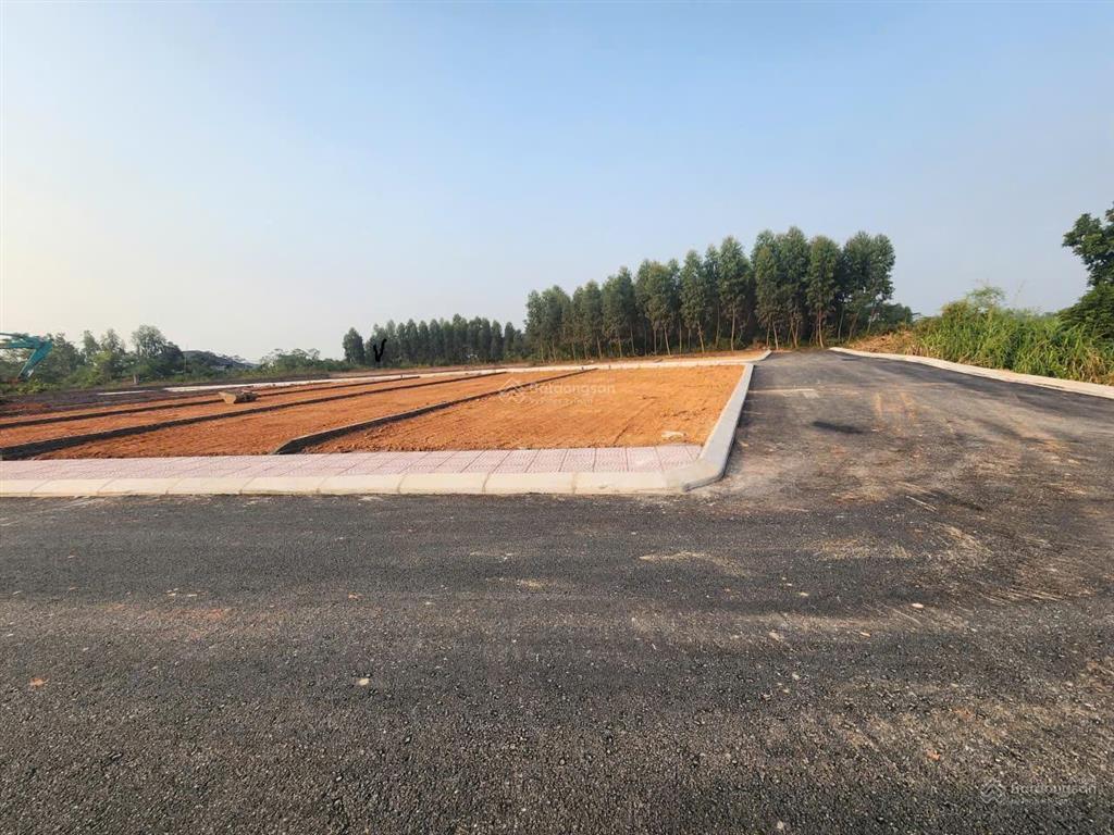 Bán đất thôn cổng sau, hướng đạo, tam dương, vĩnh phúc 100m, 800 triệu, xây nhà trọ, nhà ở.