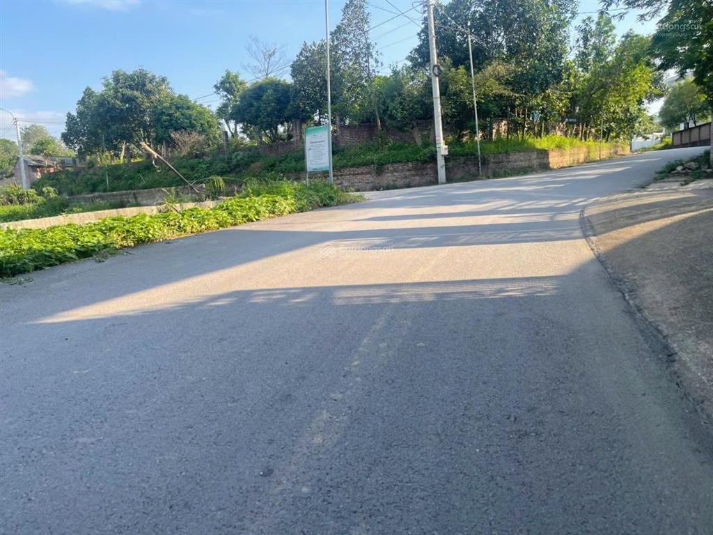 Bán đất thôn cõi, đạo tú, tam dương, vĩnh phúc 160m, 1tỷ 650 xây nhà trọ cho thuê dòng tiền.