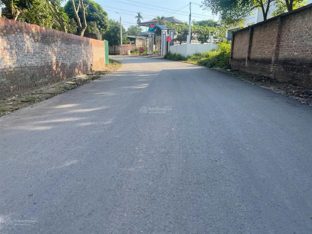 Bán đất trục chính thôn cõi, đạo tú, tam dương, vĩnh phúc 125m, 1tỷ450, kinh doanh. dòng tiền.