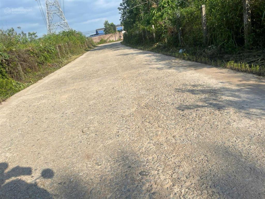 Bán đất phân lô khu công nghiệp tam dương, vĩnh phúc 2500m2, 7tr /1m, mặt tiền rộng