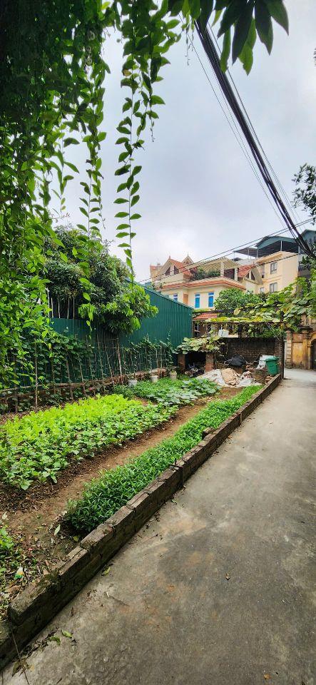 BÁN ĐẤT THỔ CƯ VÂN CANH – HOÀI ĐỨC | 52m² | MT 4.5m | LÔ GÓC | TRỤC KINH DOANH | ÔTÔ TRÁNH
