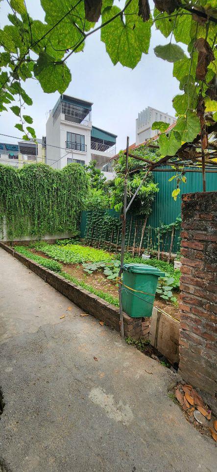 BÁN ĐẤT THỔ CƯ VÂN CANH – HOÀI ĐỨC | 52m² | MT 4.5m | LÔ GÓC | TRỤC KINH DOANH | ÔTÔ TRÁNH