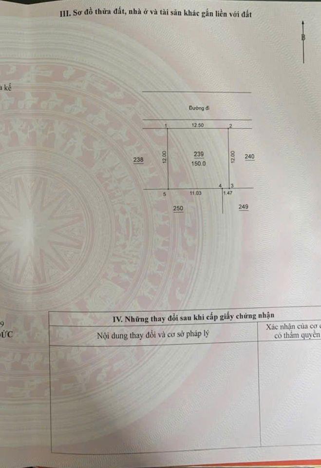 BÁN ĐẤT DV VÂN CANH – HOÀI ĐỨC | 150m² | MT 12,5m | ĐƯỜNG 11m | THÔNG TRỊNH VĂN BÔ