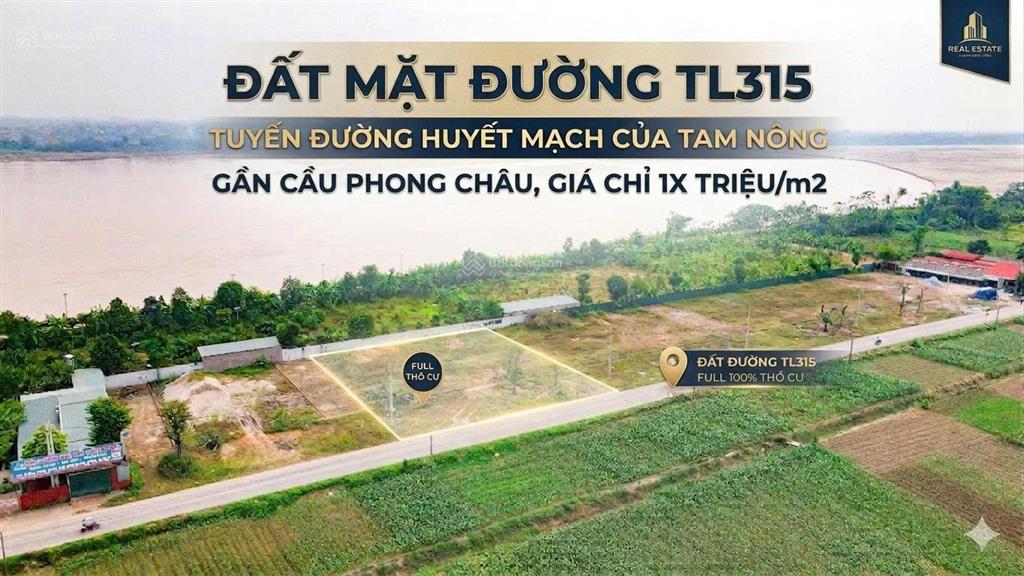 Đầu tư tl315  3 động lực đẩy giá