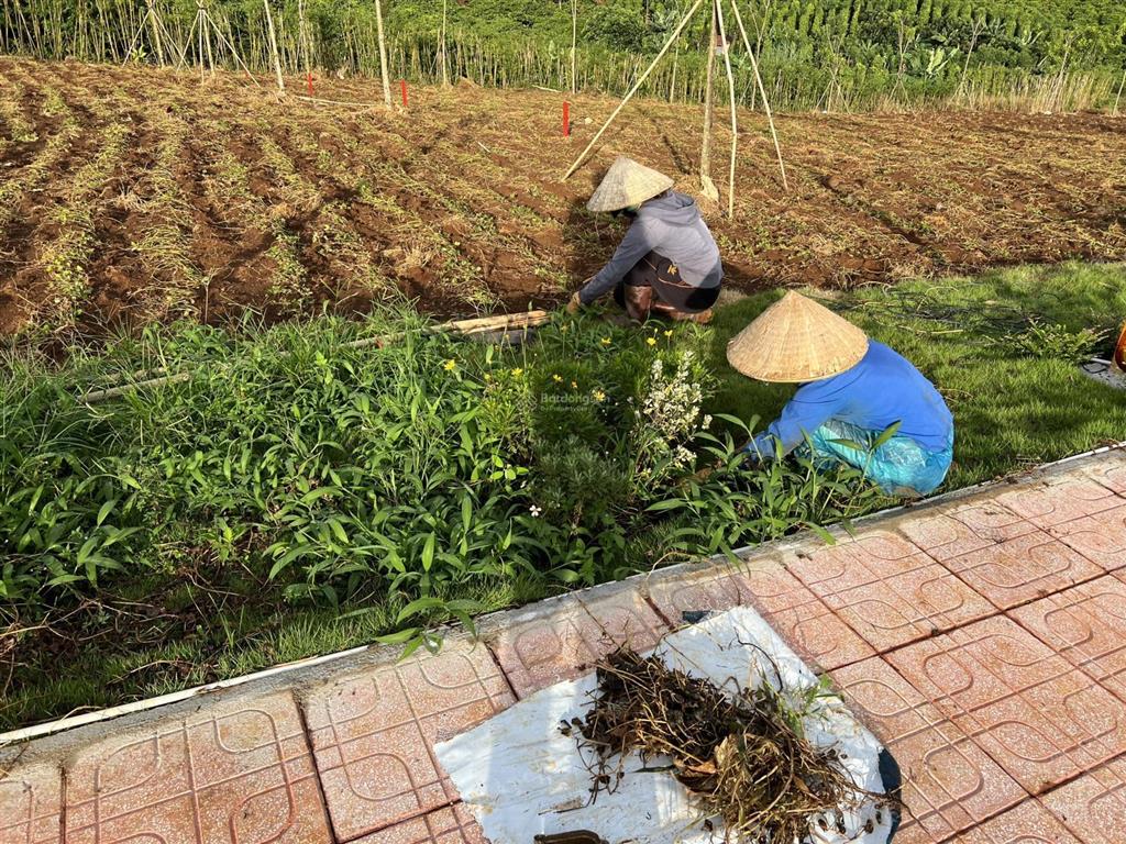 Bán gấp, đất chỉ 550 triệu  cách quốc lộ 20 chỉ 3km