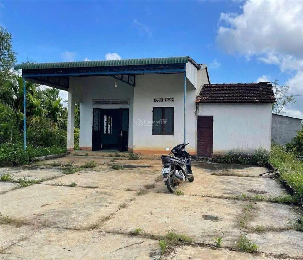 Bán đất xã eaktua cưkiun đăk lăk( gần nút cao tốc bmt nga trang