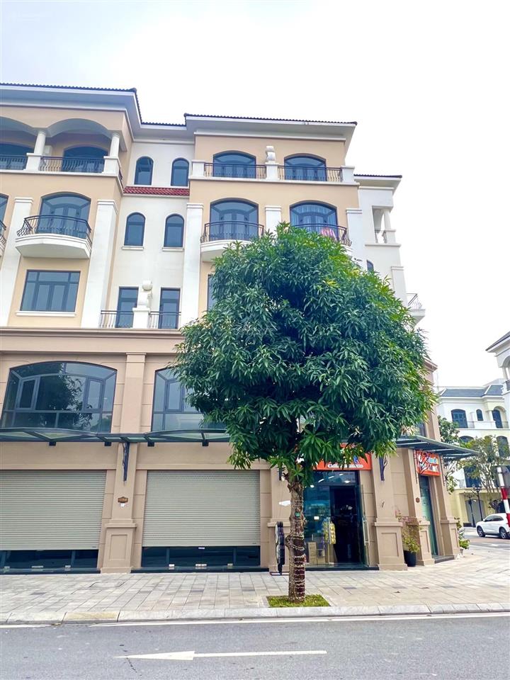 Shophouse vườn vinhome ocean park 2 cl15xx, đối diện 35 toà mik, dòng người cực tốt. giá chỉ 148tr