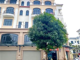 Shophouse vườn vinhome ocean park 2 cl15xx, đối diện 35 toà mik, dòng người cực tốt. giá chỉ 148tr