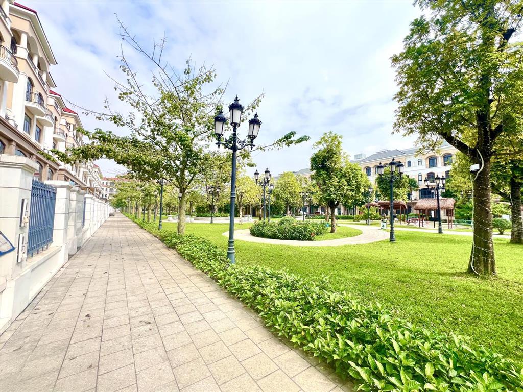 Shophouse vườn vinhome ocean park 2 cl15xx, đối diện 35 toà mik, dòng người cực tốt. giá chỉ 148tr