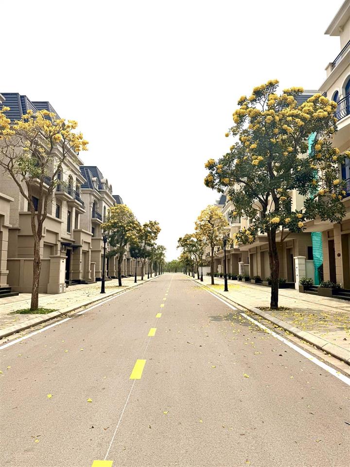 Giá sốc biệt thự song lập kinh đô 150m2 tại vinhome ocean park 2, chỉ 19, x tỷ