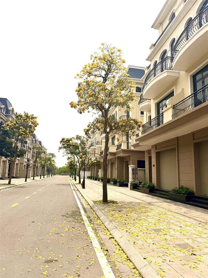 Giá sốc biệt thự song lập kinh đô 150m2 tại vinhome ocean park 2, chỉ 19, x tỷ