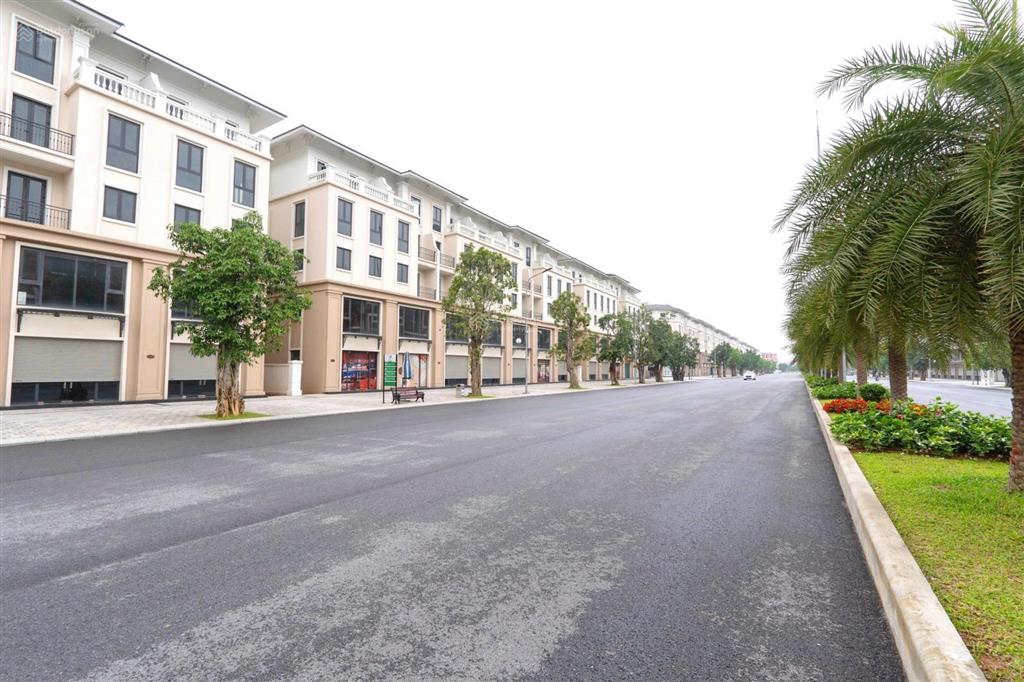 Bán nhanh shophouse 2 mặt tiền đlbm 51m vin 3, dt 110m2, mt 5,5m, giá 17,x tỷ. vị trí đẹp