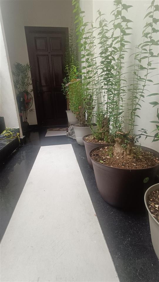 Mình còn 1 chdv 2 phòng ngủ, nguyên lầu, 60m2, nội thất đầy đủ, thang máy, gần sát siêu thị aeon.