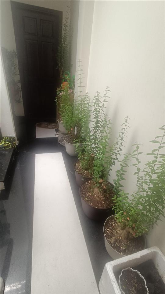 Mình còn 1 chdv 2 phòng ngủ, nguyên lầu, 60m2, nội thất đầy đủ, thang máy, gần sát siêu thị aeon.