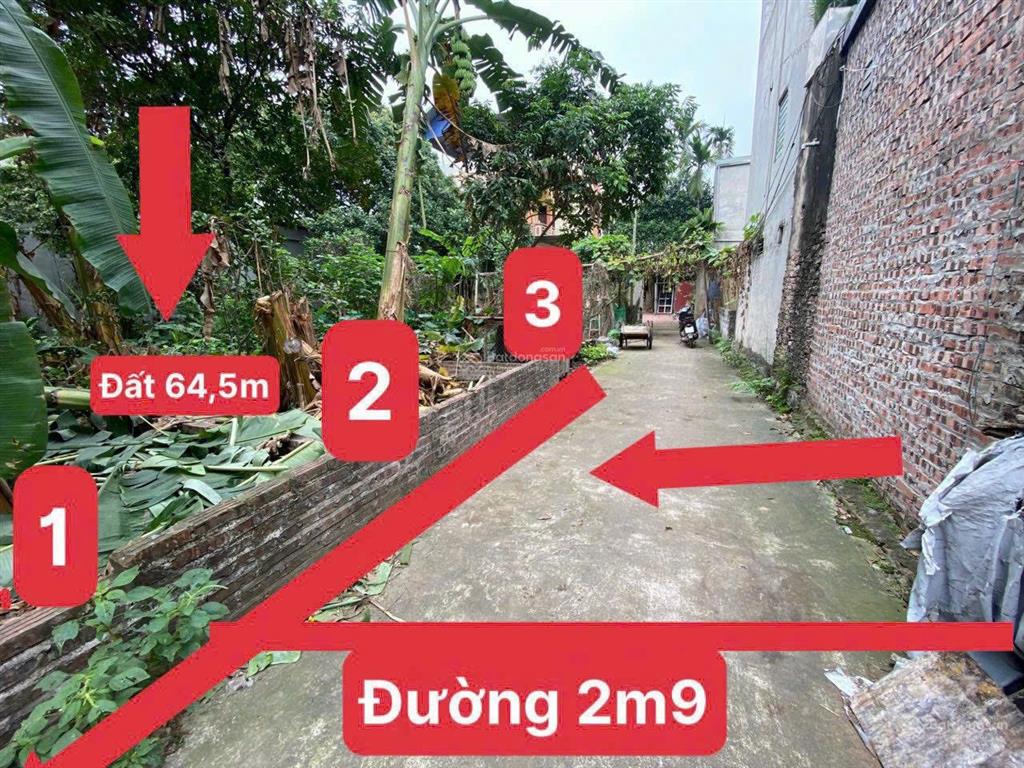 65m2 tdp phượng đồng, rẻ nhất ô tô đỗ cửa, giá 3.25 tỷ